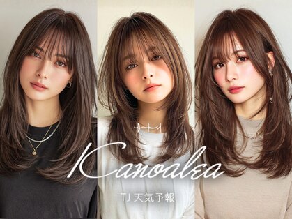 カノアレア by TJ天気予報(Kanoalea)の写真