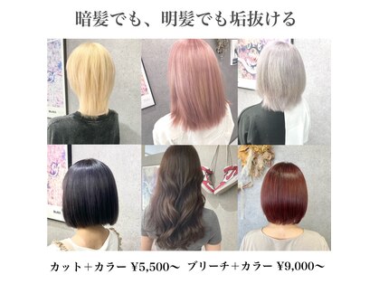パーセント(percent)の写真