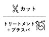 ◆口コミ協力限定◆ 【頭の整体スパ】カット＋ピトレティカTR+プチスパ