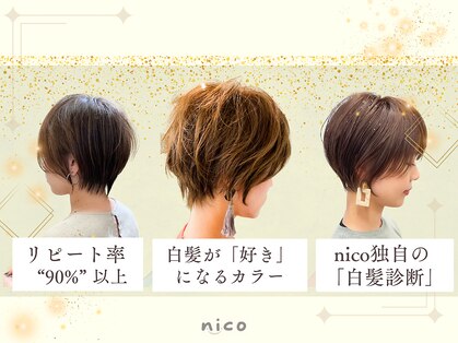 ニコ(nico)の写真