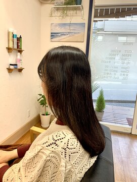 プラヤ(PLAYA) 香草カラー