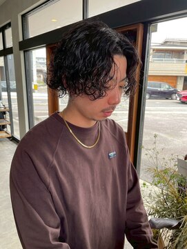 ウェイズ(WAYS) メンズ/ウェーブ/ミディアム/センターパート