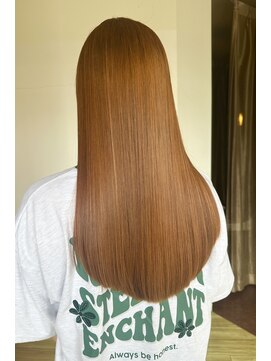 ペッツ(PETZ) 【増田】orange brown