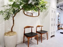 スナッグ(Snug.)の雰囲気（木の温かみと緑の癒される空間でゆっくりお過ごしください♪銀座）