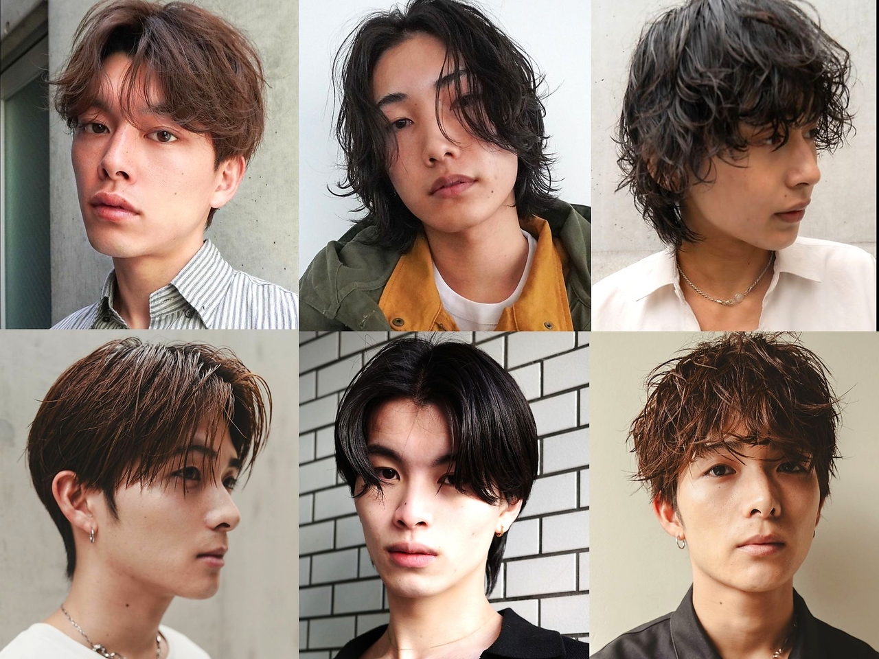 ベター(better)の写真