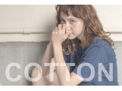 コットン 平塚店(Cotton)の写真