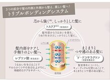 【うねりを抑え、まとまりとツヤのある髪に】内部からケアをすることで感動の手触りに！