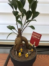 ニコリ(Nicori)&nbsp;門田 慎二