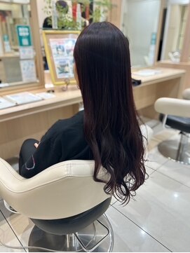 アッシュ 行徳店(Ash) ダークレッド