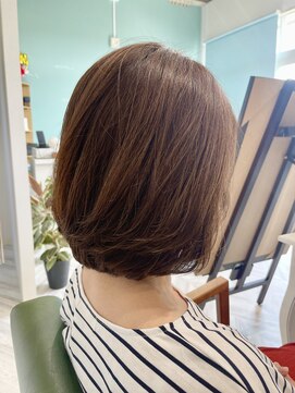 ホッグ(H-hog-26) 大人女性カット