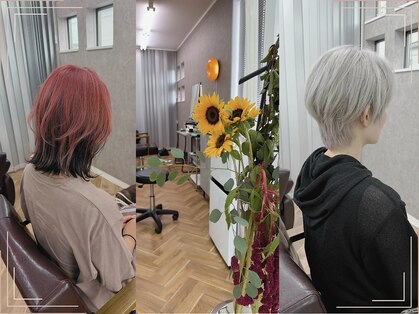 イッキ(IKKI)の写真