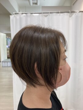 ベアーズ1 ハンサムショート