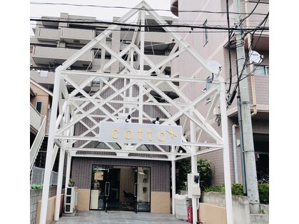 コット(cotto)の写真