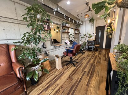 ルポ(repos)の写真