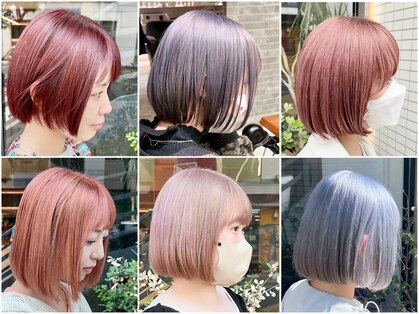 ユズリハ(yuzuriha)の写真