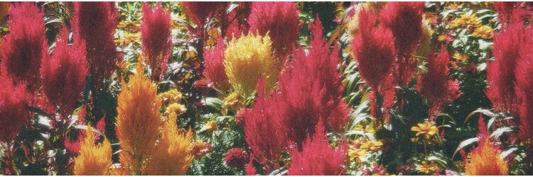 ジュノ 鹿児島中央店(Juno)のサロンヘッダー