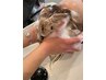 【平日キャンペーン中】カット+オーガニックカラー+炭酸スパ(マッサージ長め)