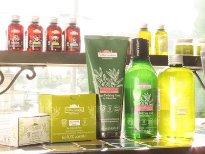 マジカルヘッズ(Magical Heads)の写真