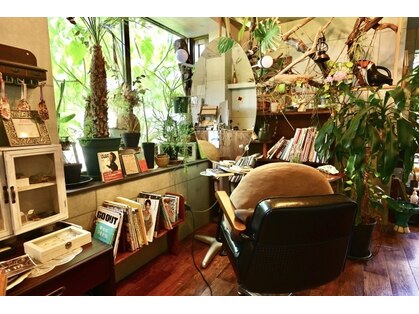 ピスパロ(PISPALO)の写真