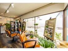 外光が溢れる空間。観葉植物などで自然にくつろげる雰囲気です。