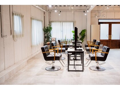 ワン(One...)の写真