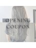 【OPEN記念】カット+バレイヤージュ+カラー+Tr 