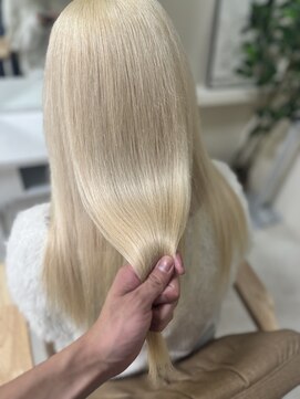 カリーナ(CARINA) ハイトーンカラー/艶髪