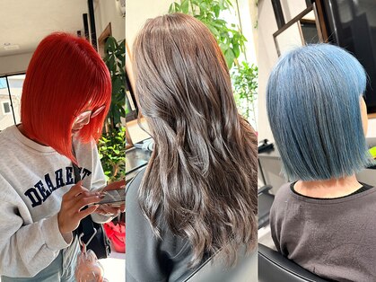 ロア(LOA)の写真