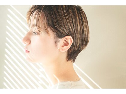 ザ ブリンク(THE BLINK)の写真