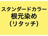 スタンダードカラー根元染め(リタッチ） 白髪染め/おしゃれ染め