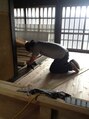 コキナダ(COKINADA)/岡本　一真
