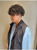 【Newton×白鳥】プードルパーマ