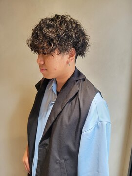 ニュートン(NEWTON) 【Newton×白鳥】プードルパーマ