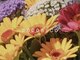 ポポニコ(poponico)の写真/完全マンツーマン対応の贅沢なひと時。タブレット完備で動画を見ながらリラックス♪