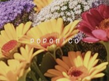 ポポニコ(poponico)