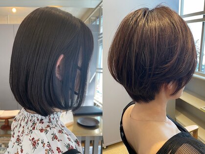 コトン 小舟町(Coton)の写真