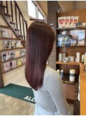 ブリーチなし　ワインレッド
