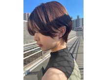 クレメント サロン ブル(Clement Salon Bull)