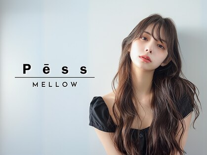 ペス メロウ(Pess mellow)の写真