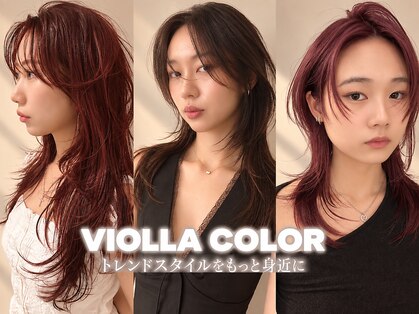 ヴィオラカラー(VIOLLA COLOR)の写真
