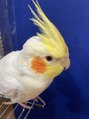 ニーナ 三軒茶屋(nina)&nbsp;ninaマスコットのピカちゃんにも会いに来てくださいnina三軒茶屋