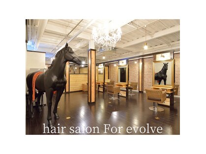 フォーイボルブ(For evolve)の写真