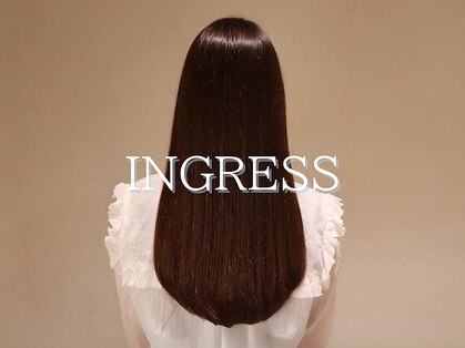 イングレス(INGRESS)の写真