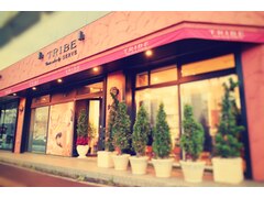 TRIBE create salon by SERVE 【トライブ　クリエートサロン　バイ　サーヴ】