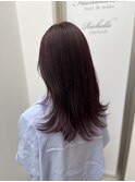 ピンクラベンダー