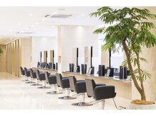 クララ ヒロシマ(CLALA Hiroshima)の雰囲気（全24席で広く開放感のある店内は非日常空間♪）