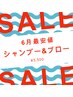 【6月最安値  8,11,12,16,18,19,21,26,27,30日】シャンプー&ブロー