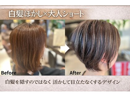 スガミ(SUGAMI)の写真