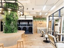 ポケット(pocket)の雰囲気（観葉植物と木の温もり感じる落ち着く店内[仙台/仙台駅/韓国風]）