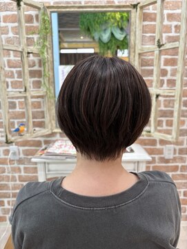 ポッケ(Pokke) グラデーションボブ【樋口美月】